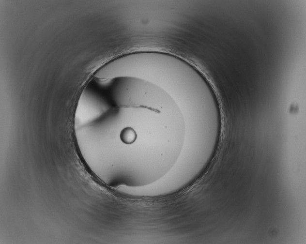 X0000115250385200911201647