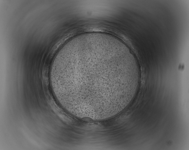 X0000115250386200911201647