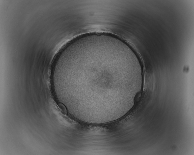 X0000115250387200911201647