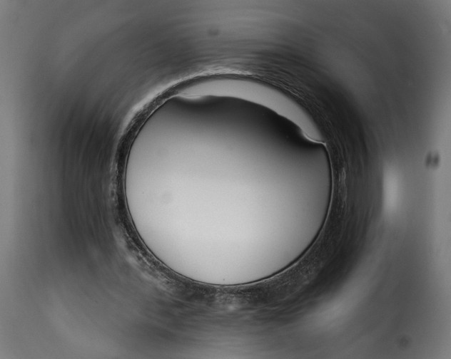 X0000115250388200911201647