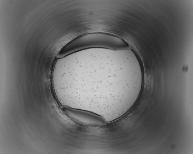 X0000115250389200911201647