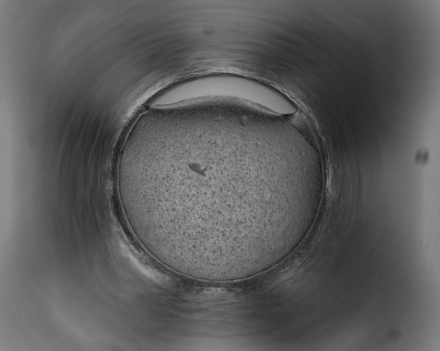 X0000115250390200911201647