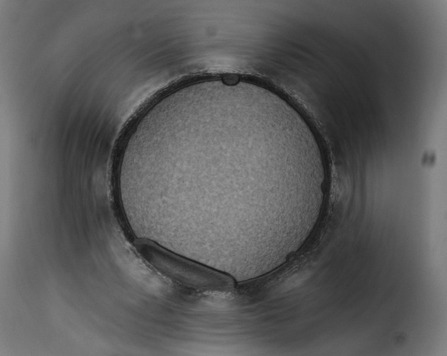 X0000115250391200911201647