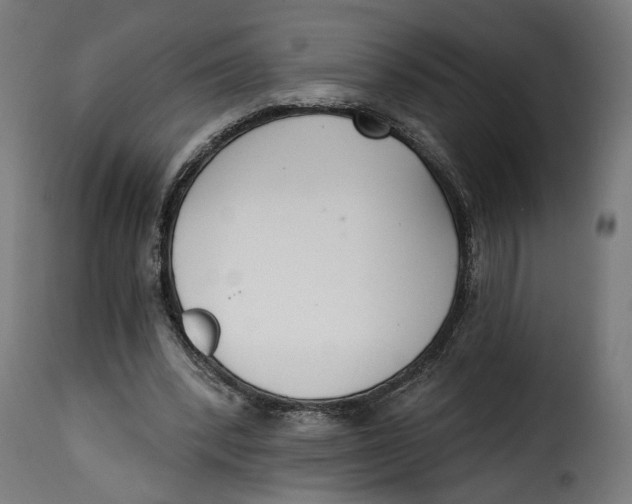 X0000115250392200911201647