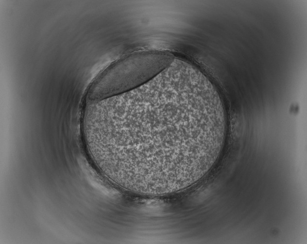 X0000115250395200911201647