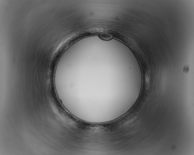 X0000115250396200911201647