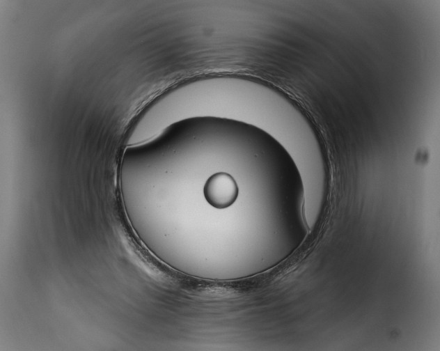 X0000115250397200911201647