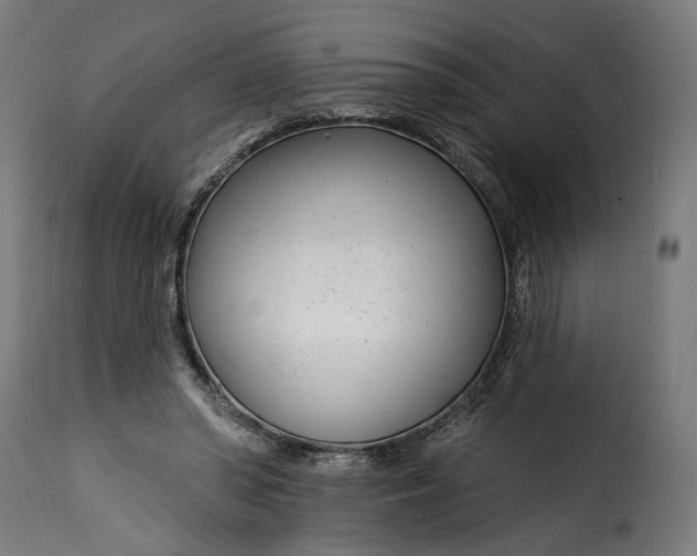 X0000115250398200911201647