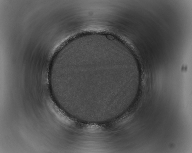 X0000115250399200911201647