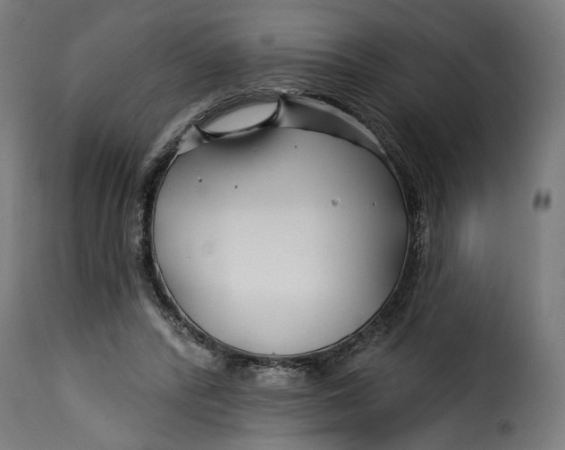 X0000115250400200911201647