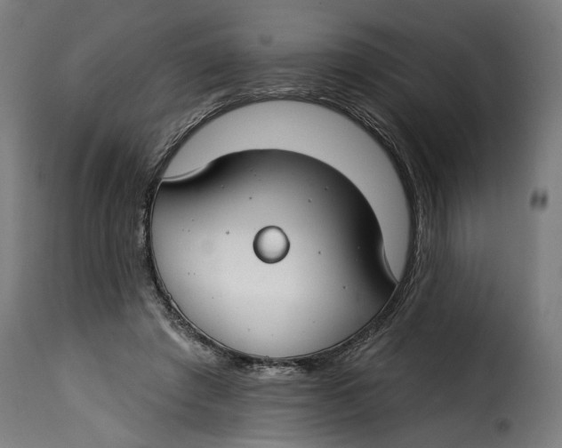 X0000115250401200911201647