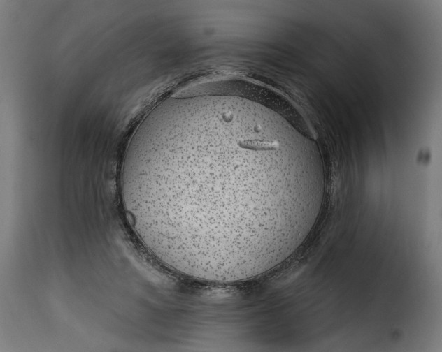 X0000115250402200911201647