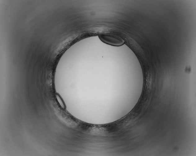 X0000115250403200911201647