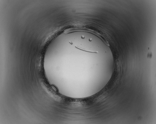 X0000115250404200911201647