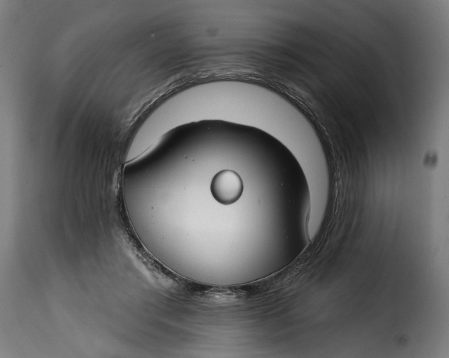 X0000115250405200911201647