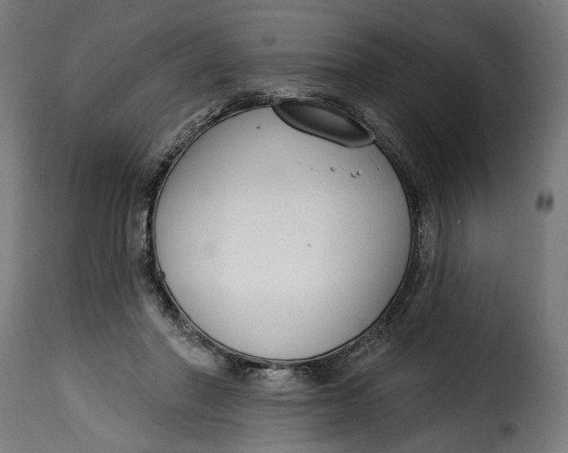 X0000115250406200911201647