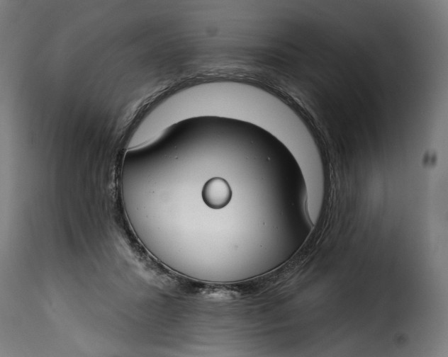 X0000115250407200911201647