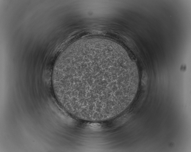 X0000115250409200911201647