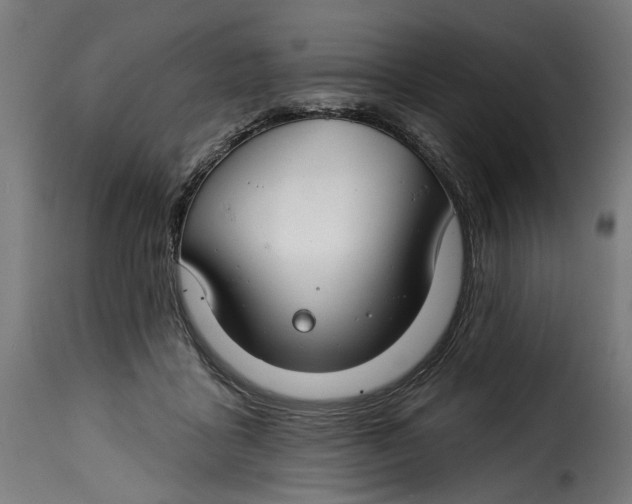 X0000115250411200911201647