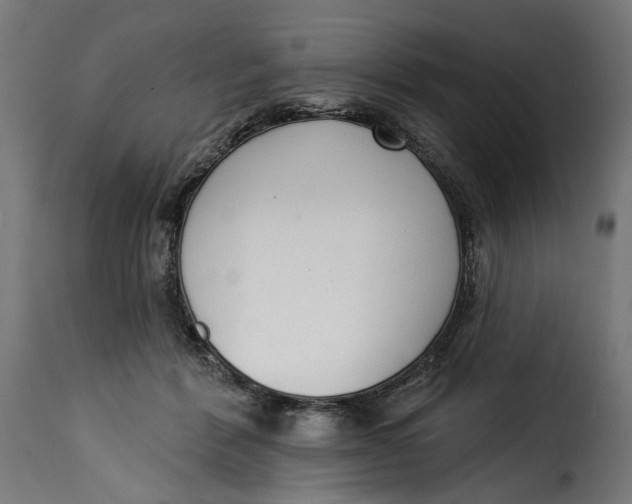 X0000115250412200911201647