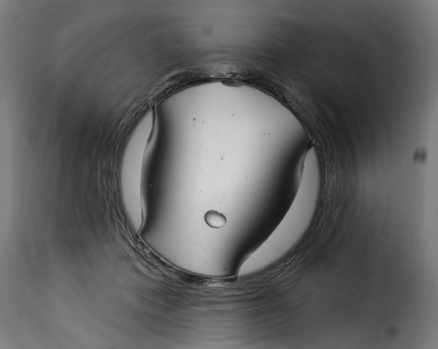 X0000115250413200911201647