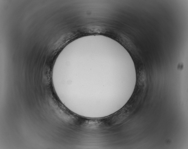 X0000115250414200911201647