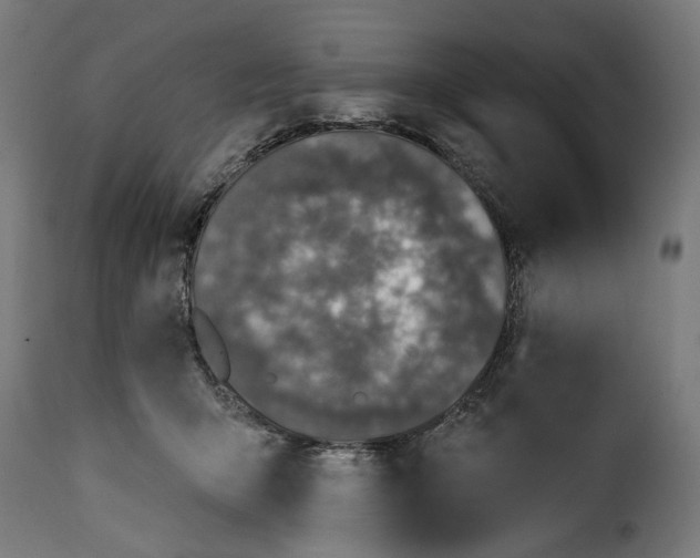 X0000115250415200911201647