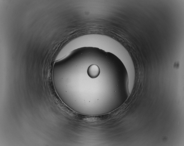 X0000115250417200911201647