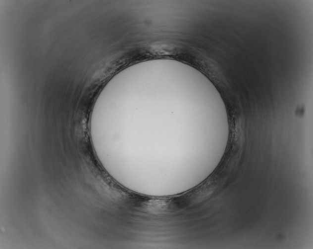 X0000115250418200911201647