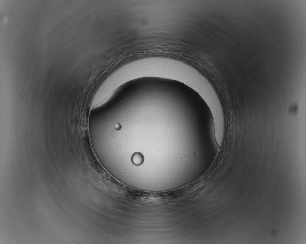 X0000115250419200911201647