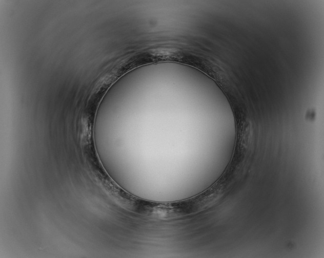 X0000115250420200911201647