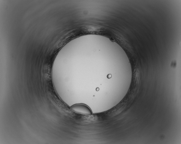 X0000115250421200911201647