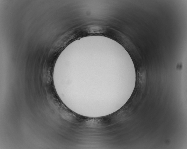 X0000115250422200911201647