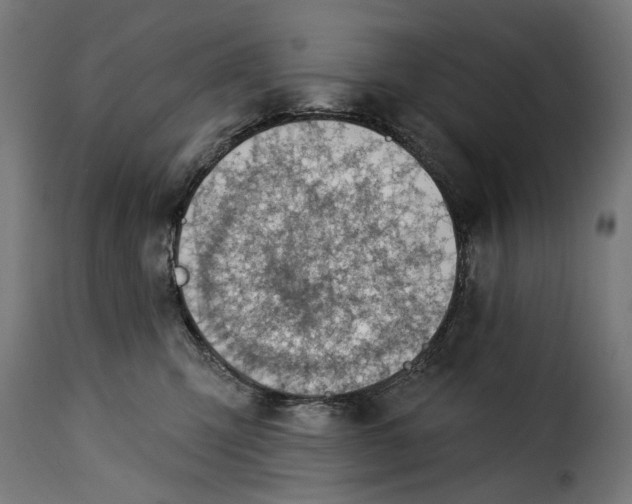 X0000115250423200911201647