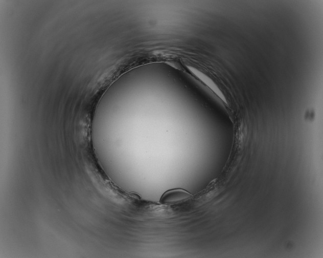 X0000115250424200911201647