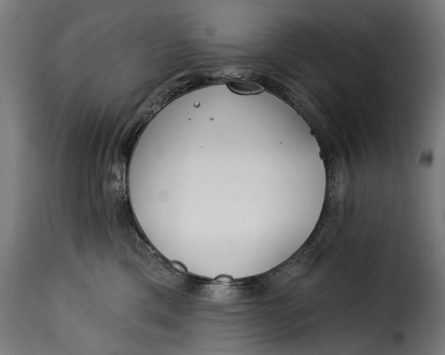 X0000115250425200911201646