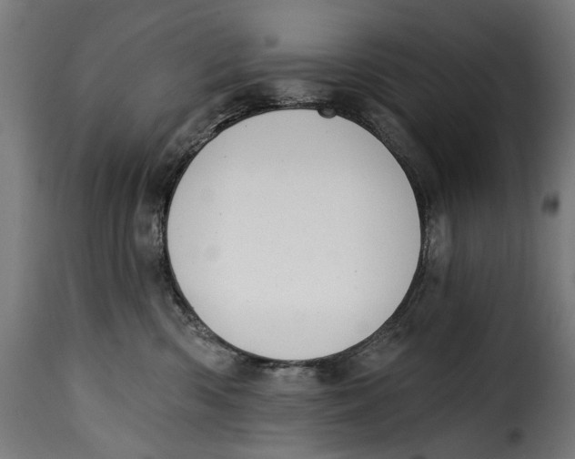 X0000115250426200911201646