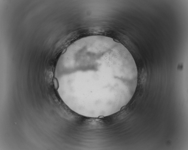 X0000115250427200911201646