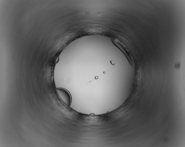 X0000115250428200911201646