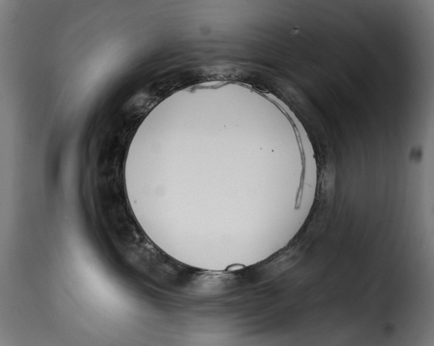 X0000115250429200911201646