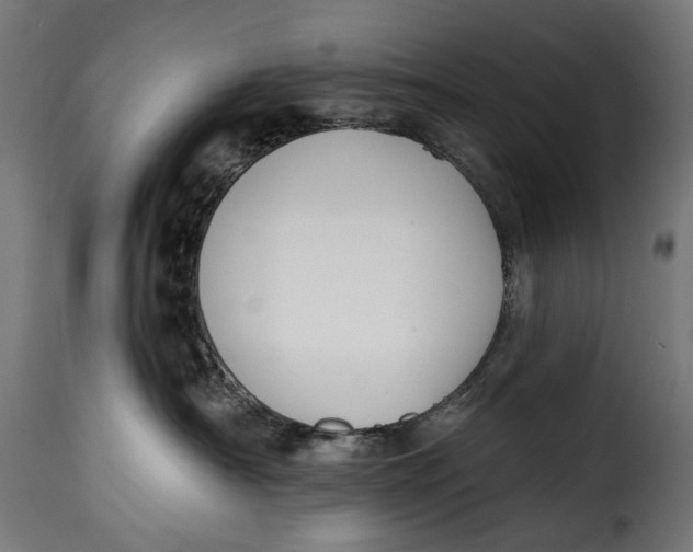 X0000115250430200911201646