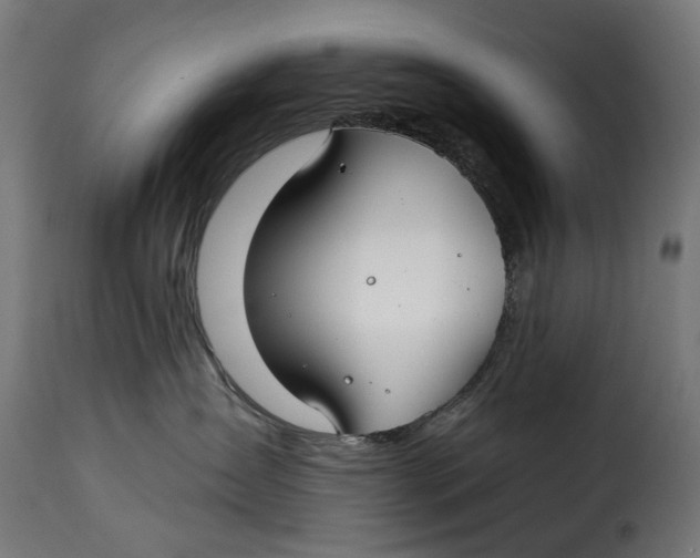 X0000115250431200911201646