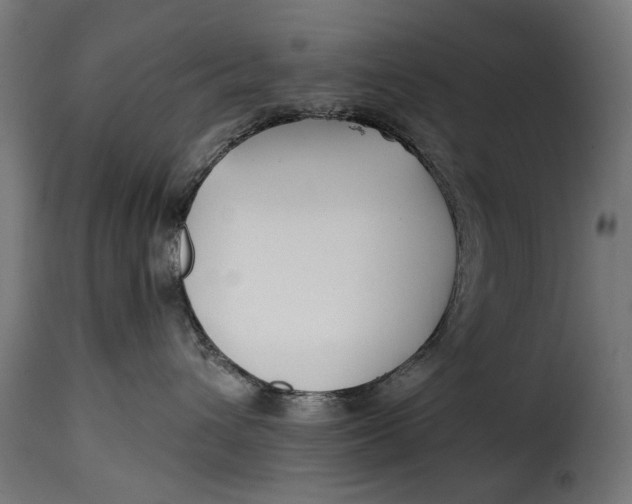 X0000115250432200911201646