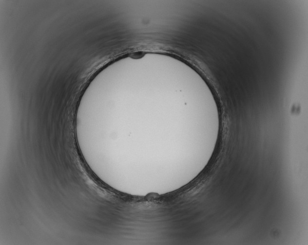 X0000115250433200911201646