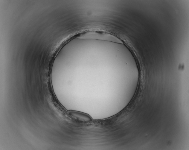 X0000115250434200911201646