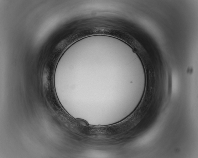 X0000115250435200911201646