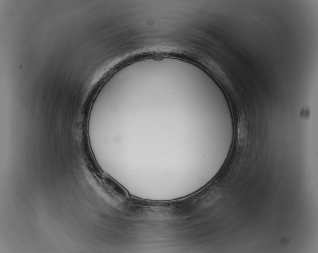 X0000115250436200911201646