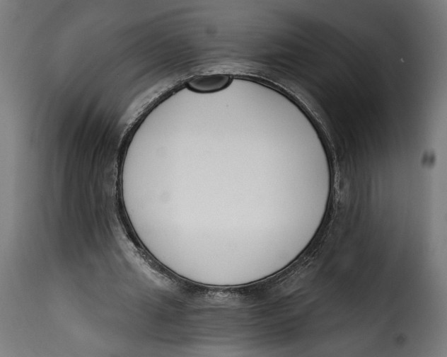 X0000115250437200911201646