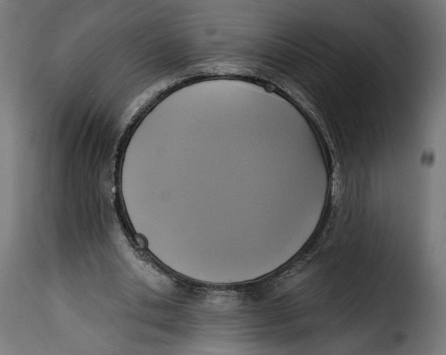 X0000115250438200911201646