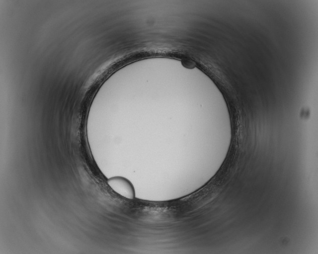 X0000115250440200911201646